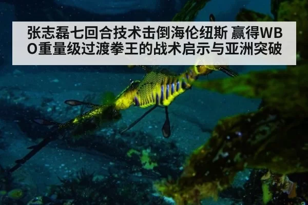 张志磊七回合技术击倒海伦纽斯 赢得WBO重量级过渡拳王的战术启示与亚洲突破