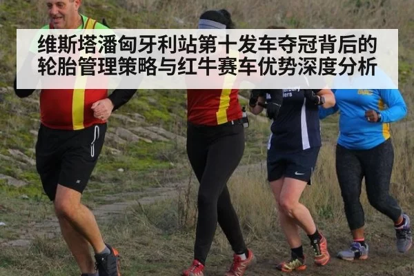 维斯塔潘匈牙利站第十发车夺冠背后的轮胎管理策略与红牛赛车优势深度分析 - leyu