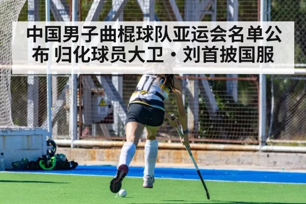 field hockey action