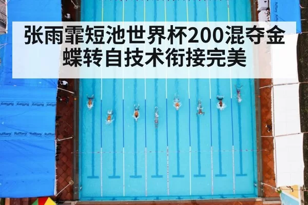 张雨霏短池世界杯200混夺金 蝶转自技术衔接完美 - leyu